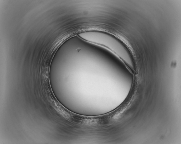 X0000089910793200707201755
