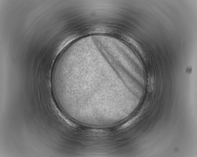 X0000089910794200707201755