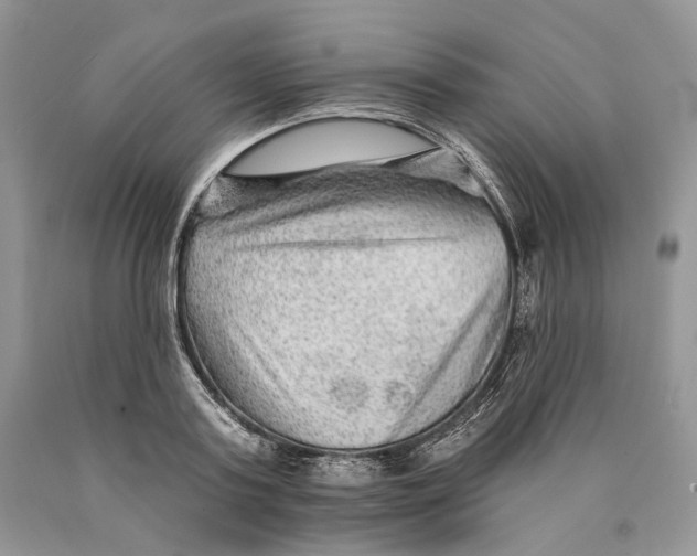 X0000089910795200707201755