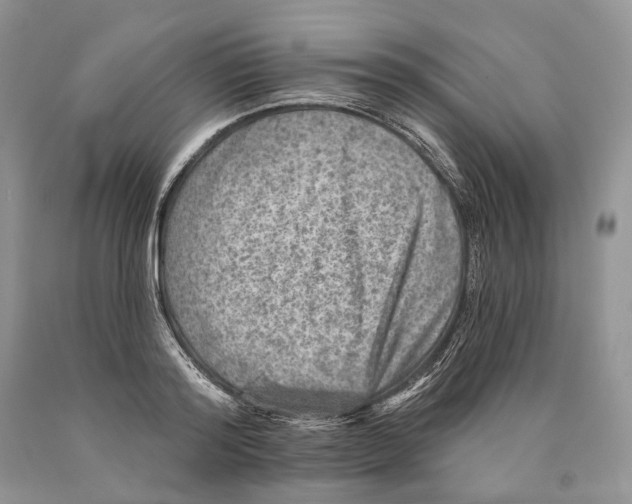 X0000089910796200707201755