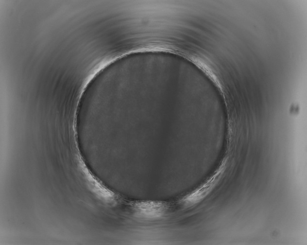 X0000089910797200707201755
