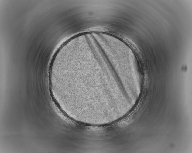 X0000089910800200707201755