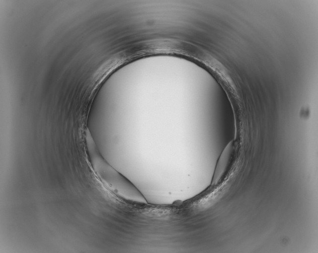 X0000089910801200707201755