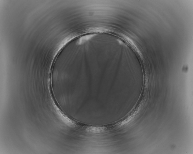 X0000089910802200707201755