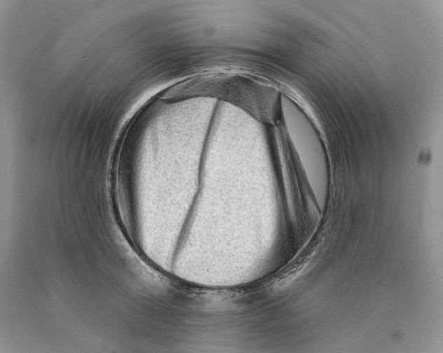X0000089910803200707201755