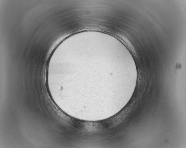 X0000089910804200707201755