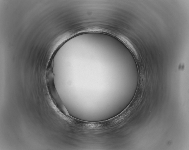 X0000089910805200707201755