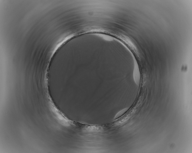 X0000089910806200707201755