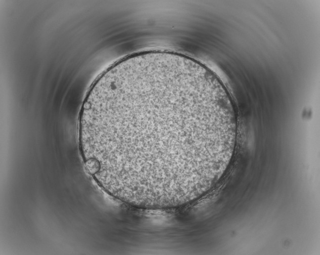 X0000089910807200707201755