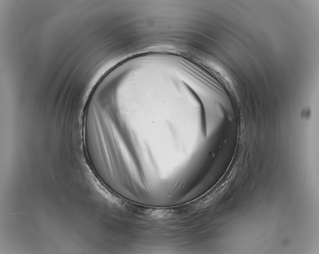 X0000089910808200707201755