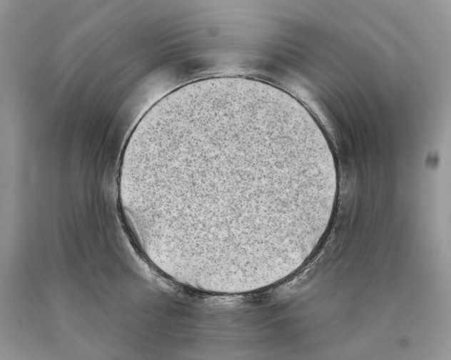 X0000089910810200707201755