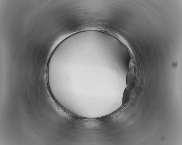 X0000089910811200707201755