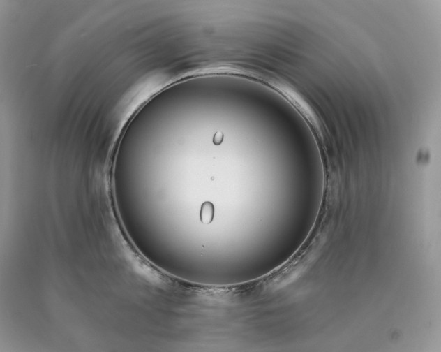 X0000089910813200707201755