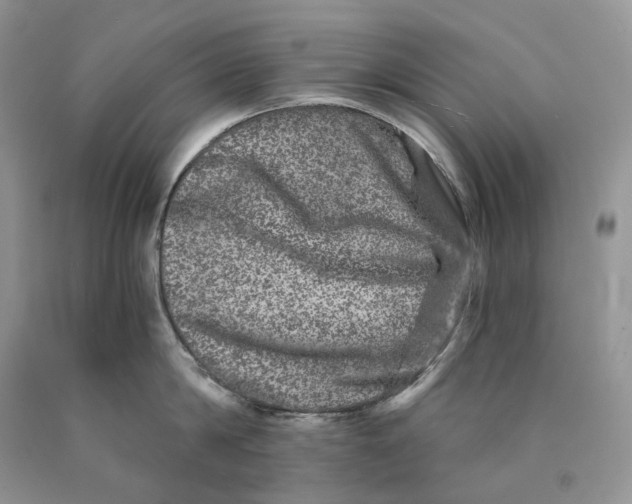 X0000089910814200707201755