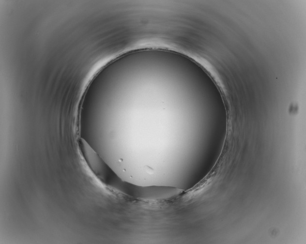 X0000089910815200707201755