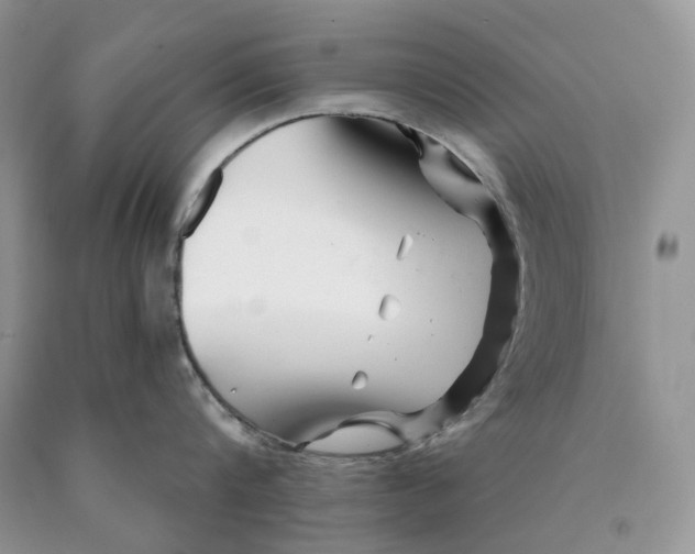 X0000089910816200707201755