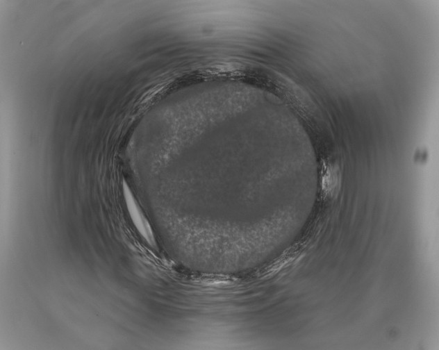 X0000089910819200707201754