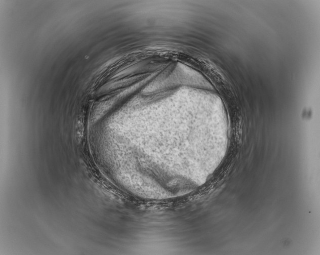X0000089910821200707201754