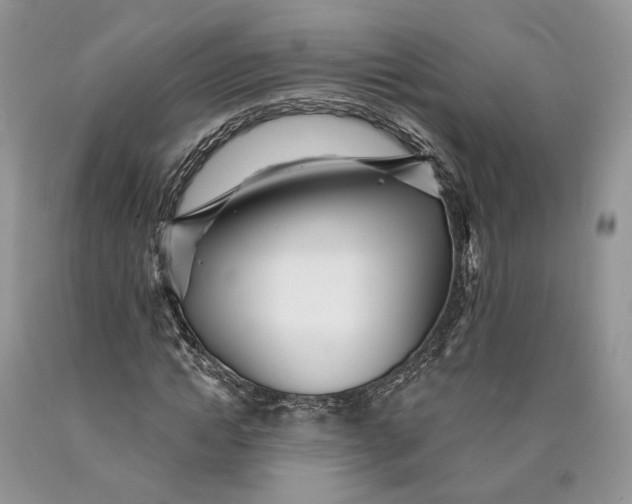 X0000089910822200707201754