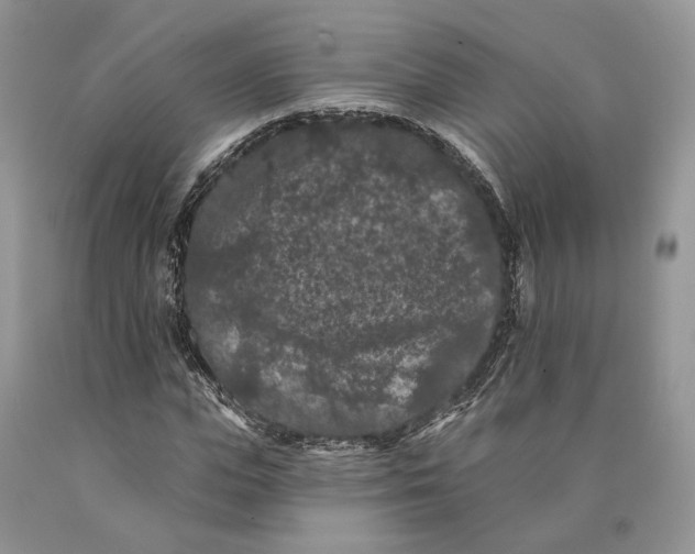X0000089910823200707201754