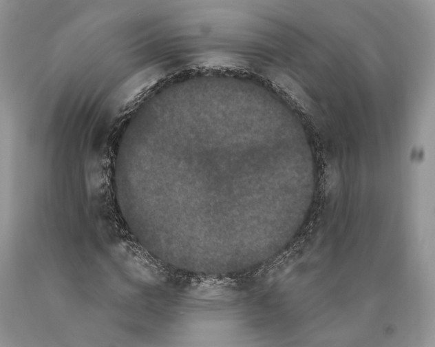 X0000089910824200707201754