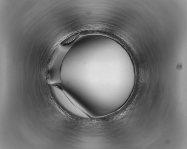 X0000089910826200707201754