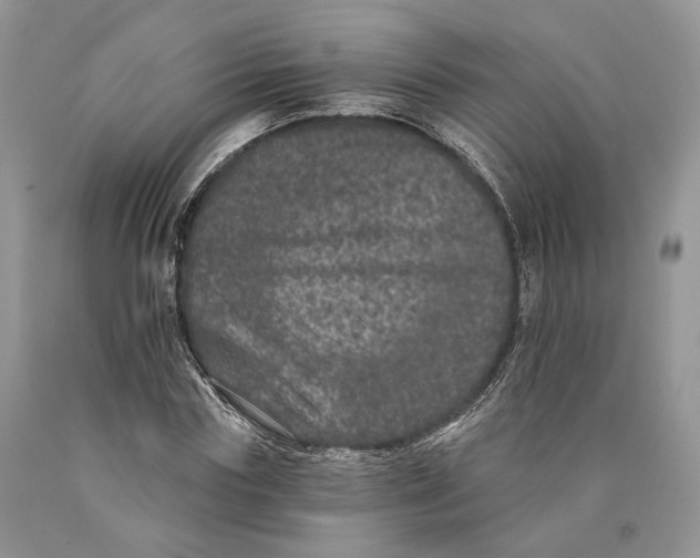 X0000089910827200707201754