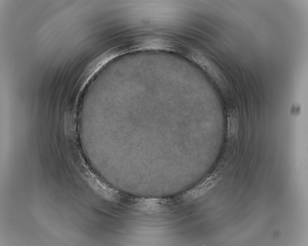 X0000089910828200707201754