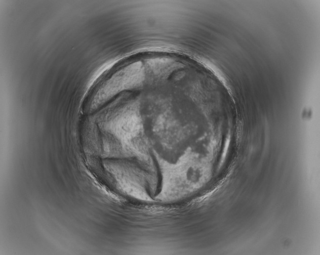X0000089910829200707201754