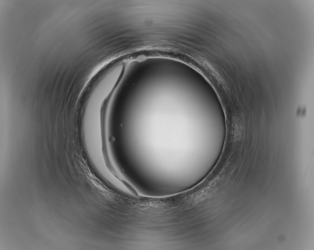 X0000089910830200707201754