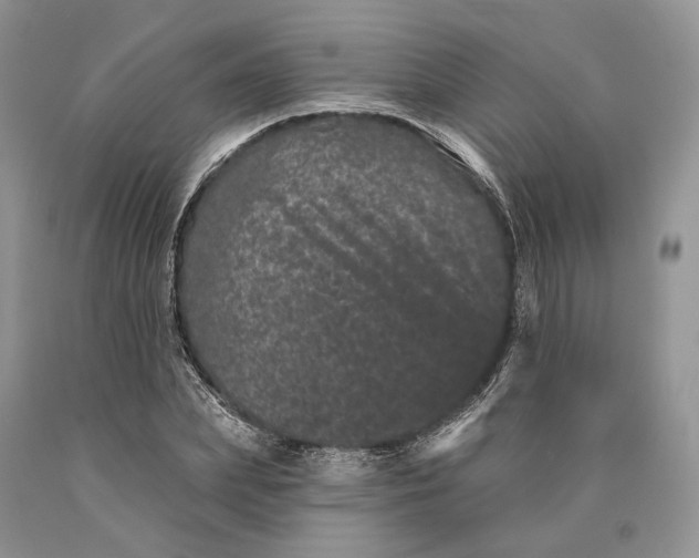 X0000089910831200707201754