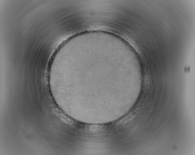 X0000089910832200707201754