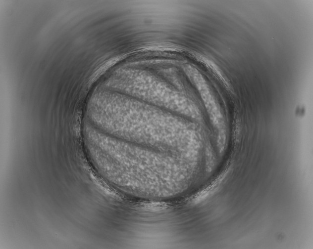 X0000089910833200707201754