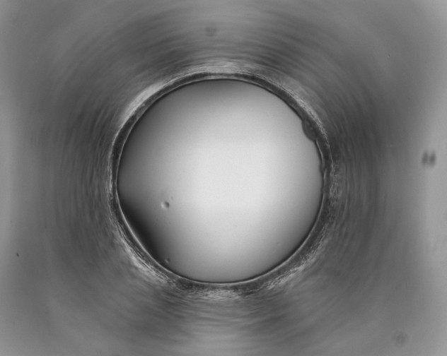 X0000089910837200707201754