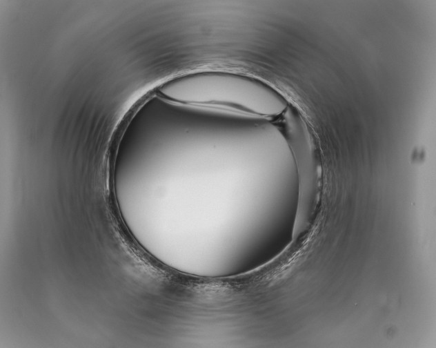 X0000089910838200707201754