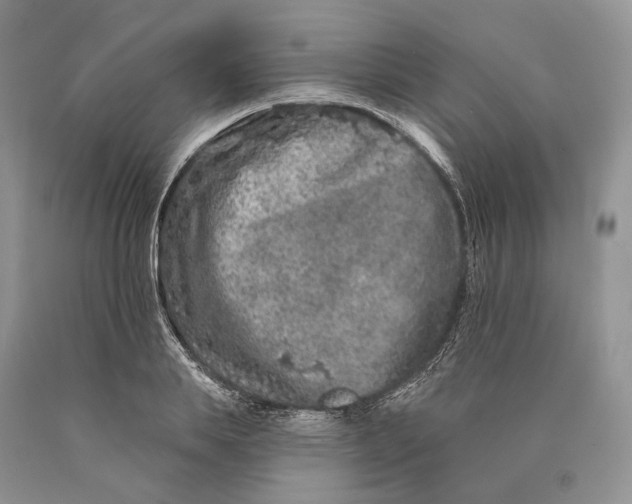 X0000089910839200707201754