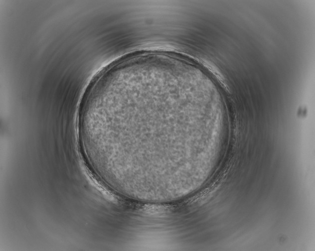X0000089910840200707201754