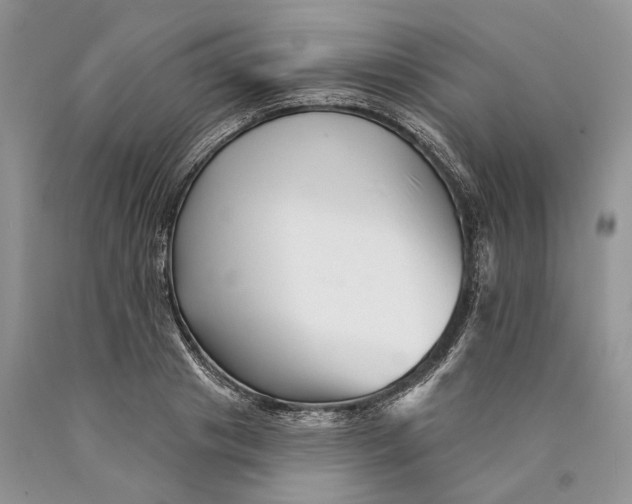 X0000089910841200707201754