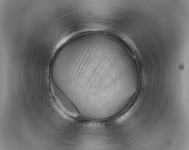 X0000089910842200707201754