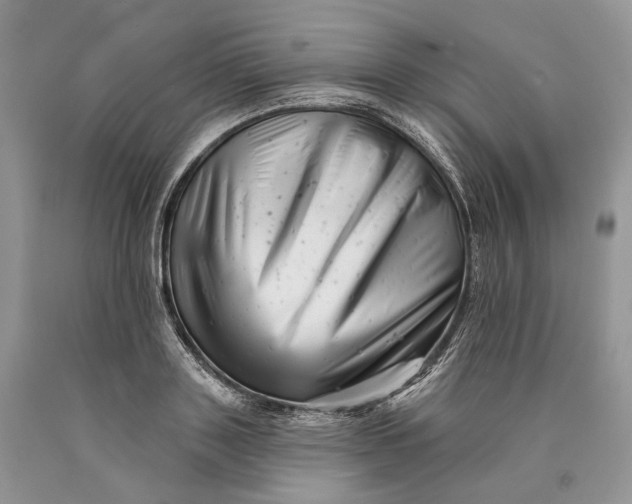 X0000089910843200707201754