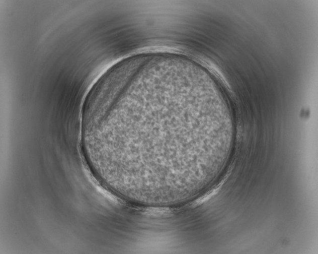 X0000089910844200707201754