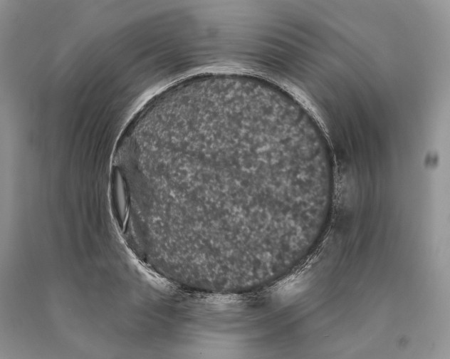 X0000089910845200707201754