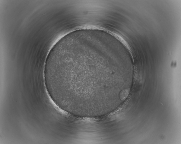 X0000089910847200707201754