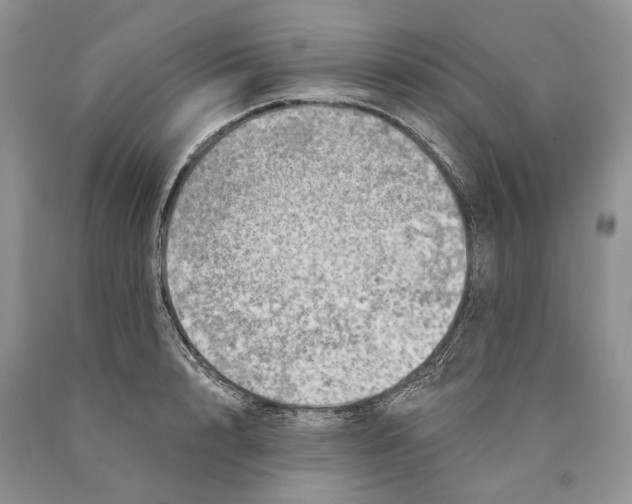 X0000089910848200707201754