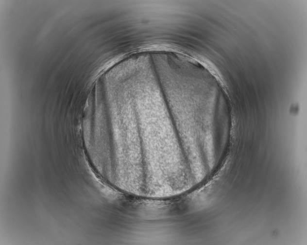 X0000089910849200707201754