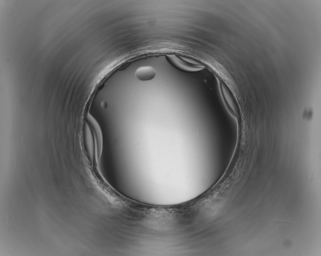 X0000089910850200707201754