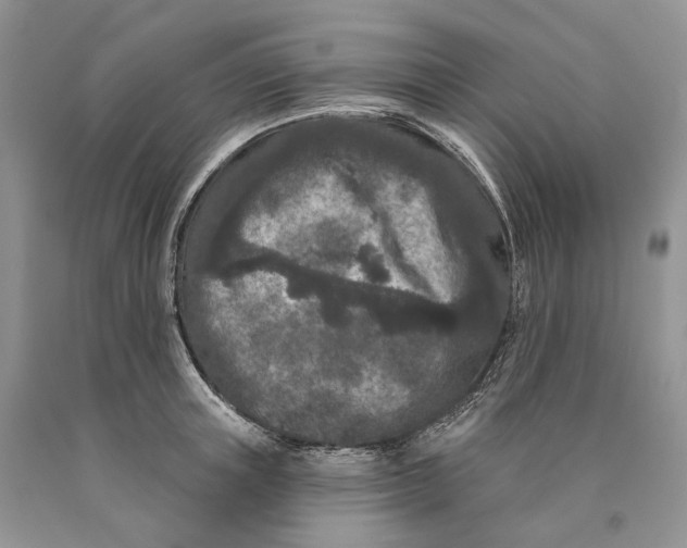 X0000089910851200707201754