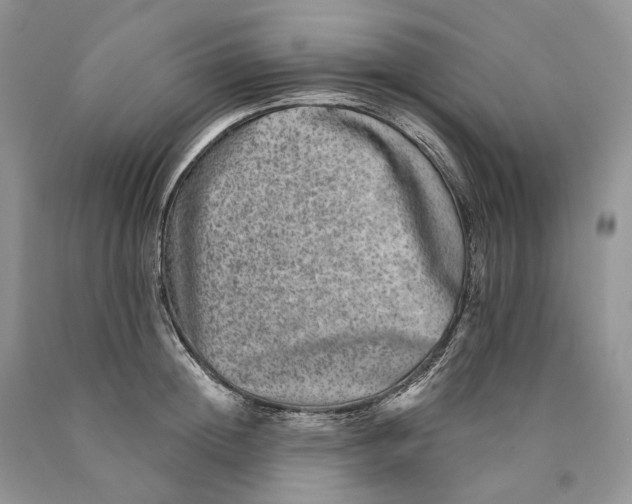X0000089910852200707201754