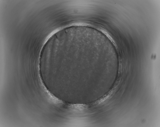 X0000089910853200707201754