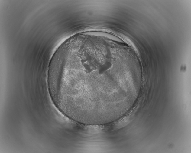 X0000089910855200707201754